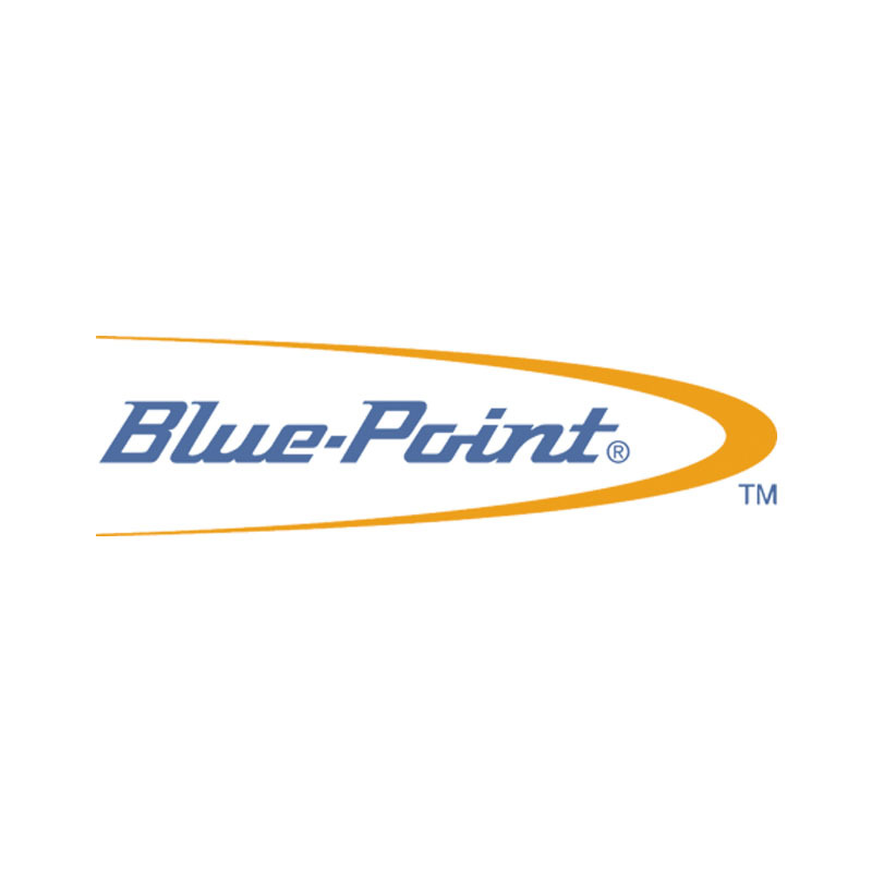 bluepoint logo