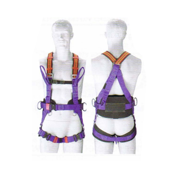 Equipment for Working on Pole