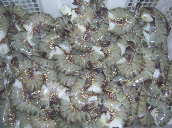 52FD4D7B 1A86 11E2 9659 123141053E9B