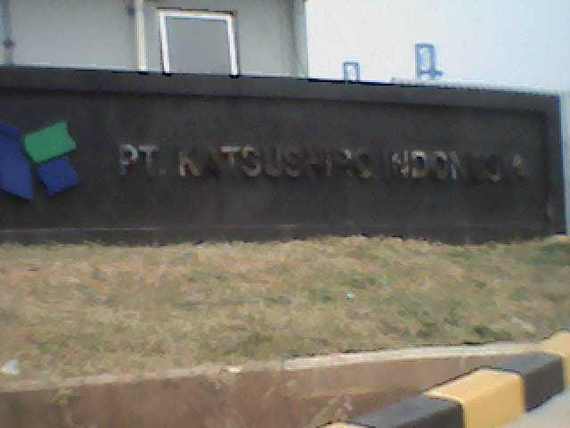 141. PT KATSUSHIRO INDONESIA