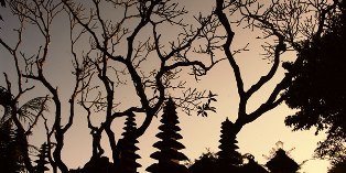 SURYA UMA WISATA TOUR & TRAVEL
