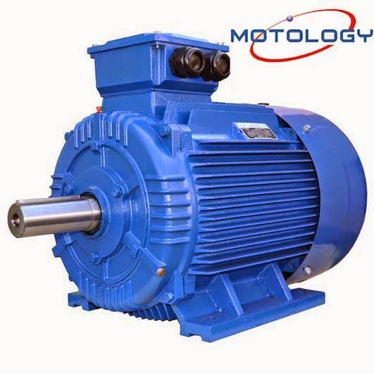 MOTOLOGY Induction Motor