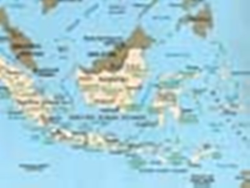 jaringan