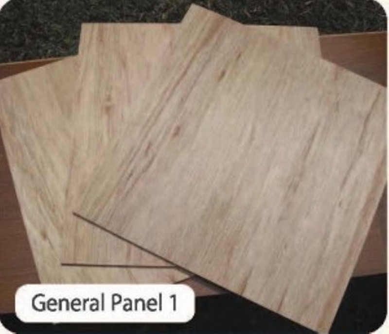 GP1 300x258