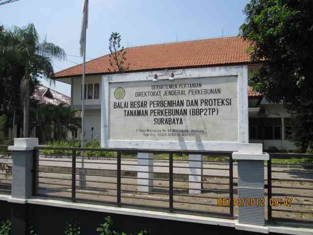 Balai Besar Perbenihan dan Proteksi Tanaman Perkebunan (BBP2TP)