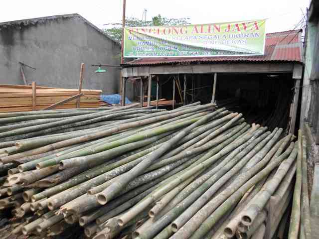 Panglong Alin Jaya