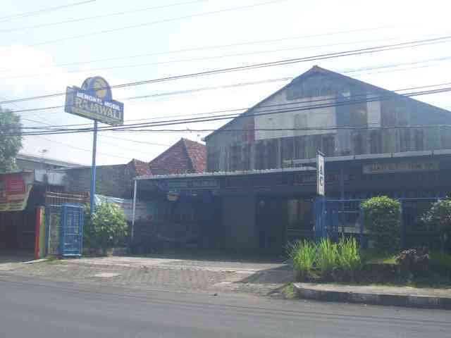Rajawali