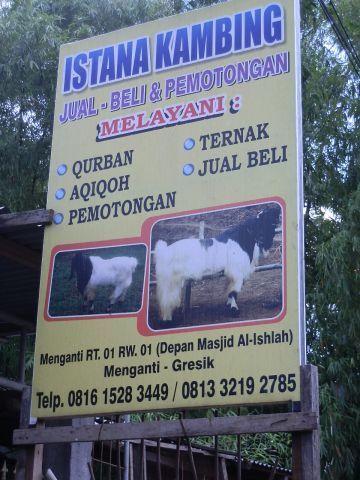 Istana Kambing