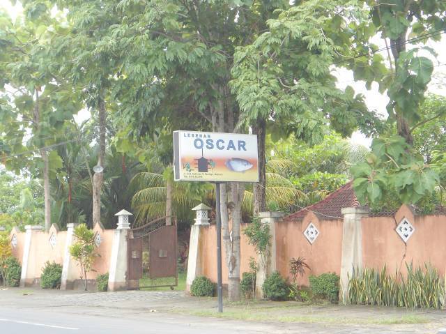 Lesehan Oscar