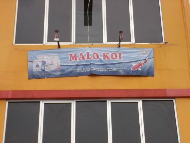 Malo Koi