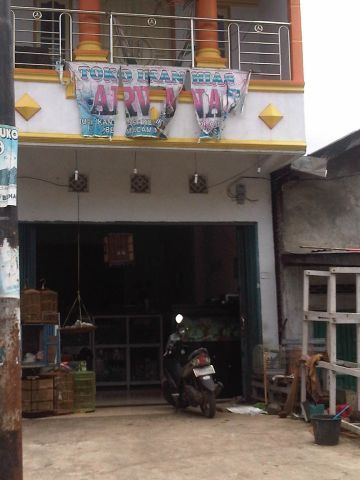 Arwana