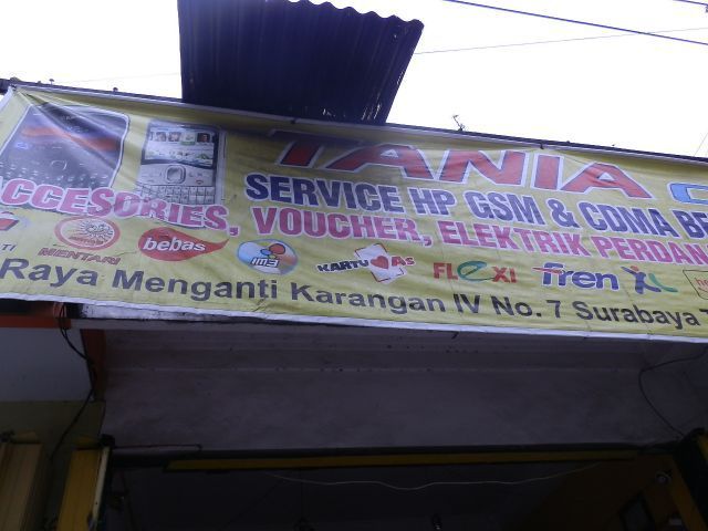 Tania Cell Manis