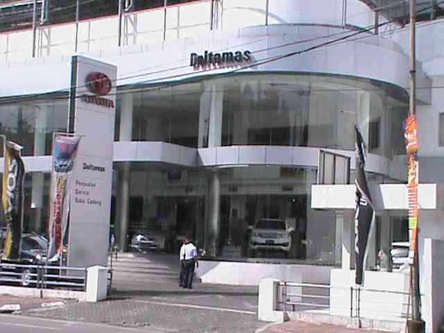 Deltamas Surya Indah Mulia. PT