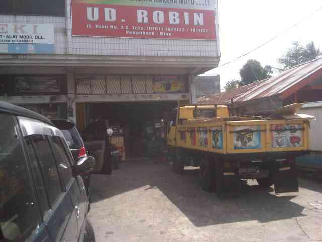 Robin. UD