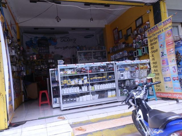 Tania Cell Manis