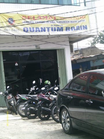 Quantum Brain