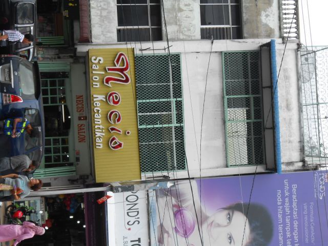 Necis