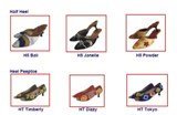 Shoeline Shoes - Grand Indonesia