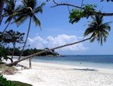 ANGKASA JAYA BERSAMA TOUR & TRAVEL