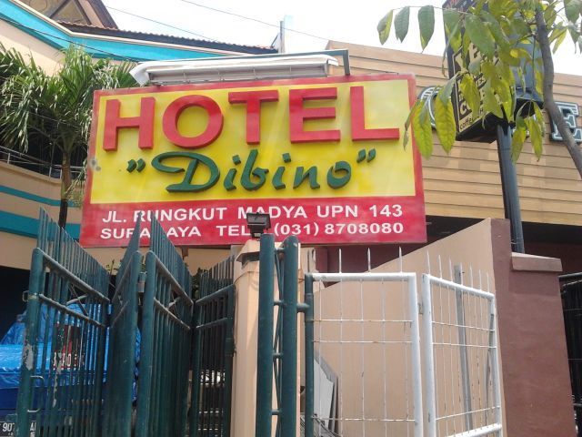 Hotel Dibing