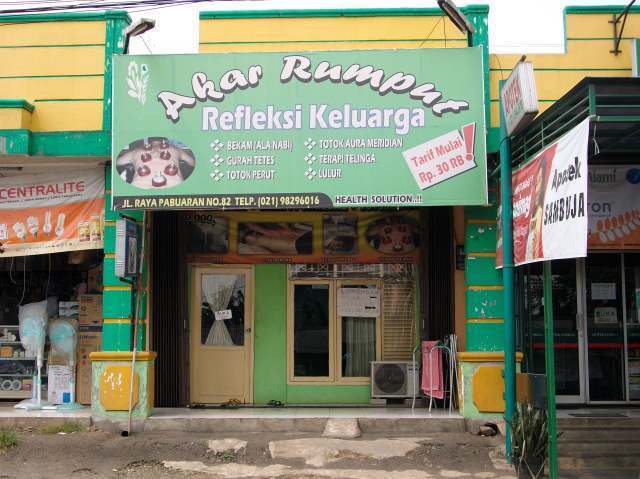 Akar Rumput
