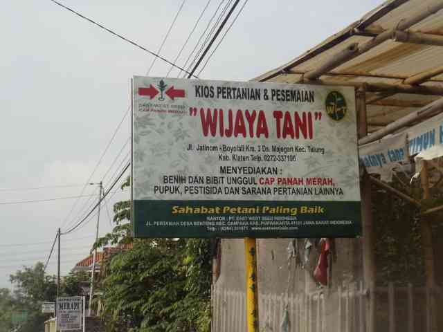 Wijaya Tani