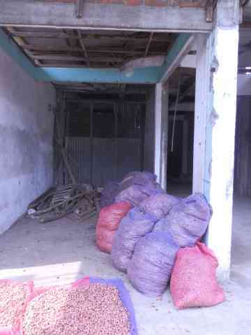Bawang Merah Bima