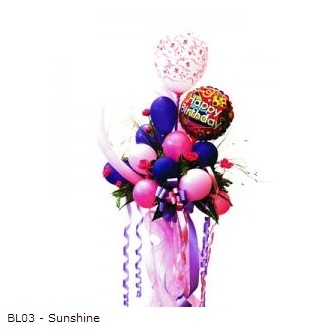 BL03