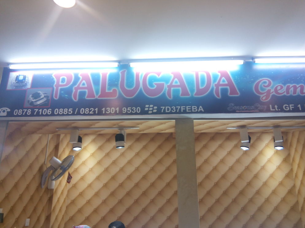 Palugada Gemstone