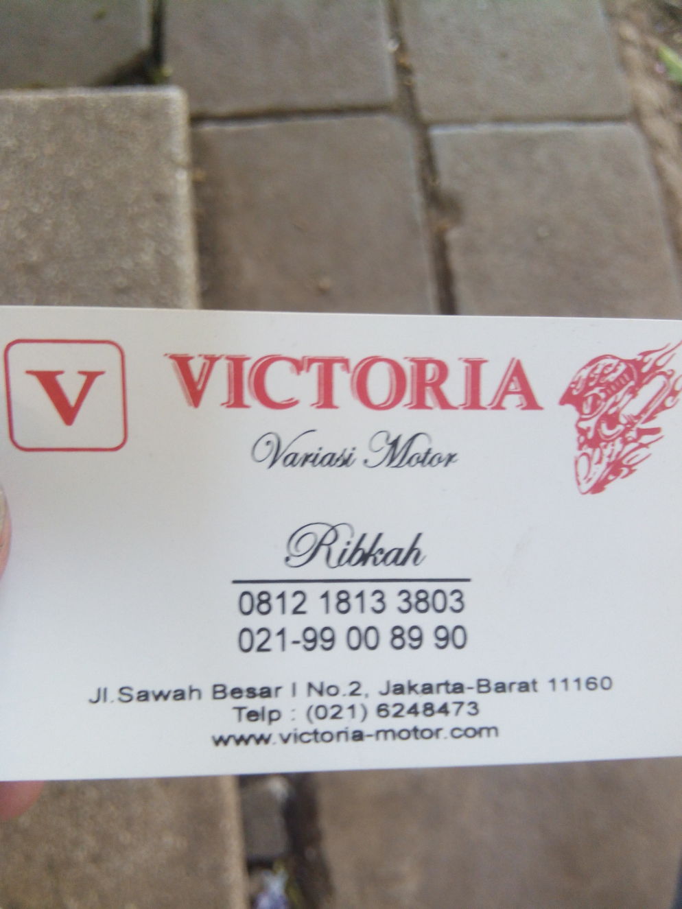 2549931