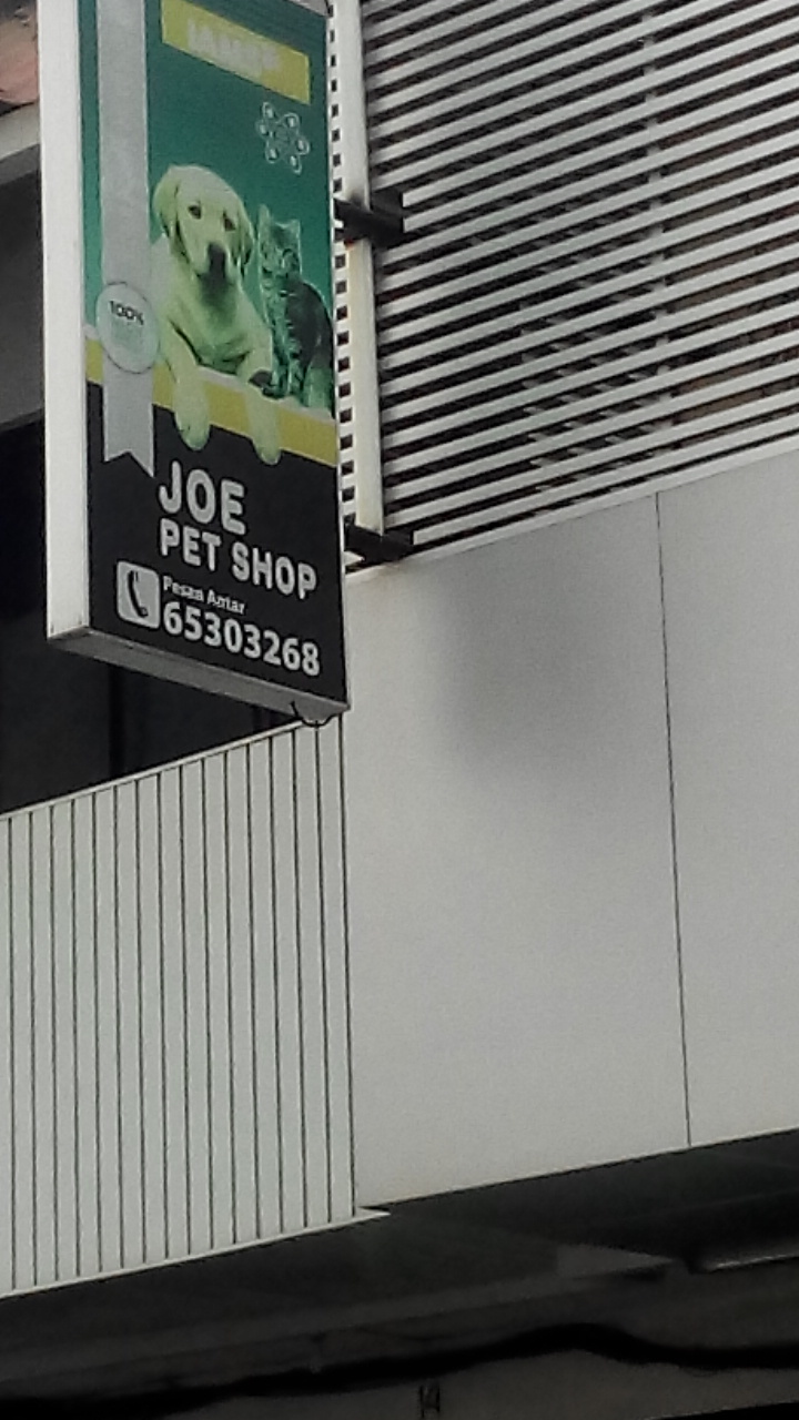 Joes pet hot sale supplies