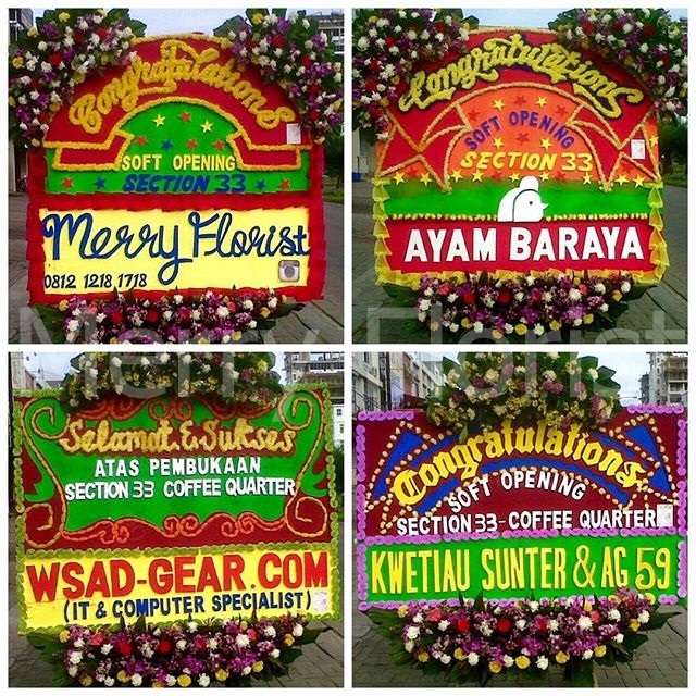 Bunga Papan