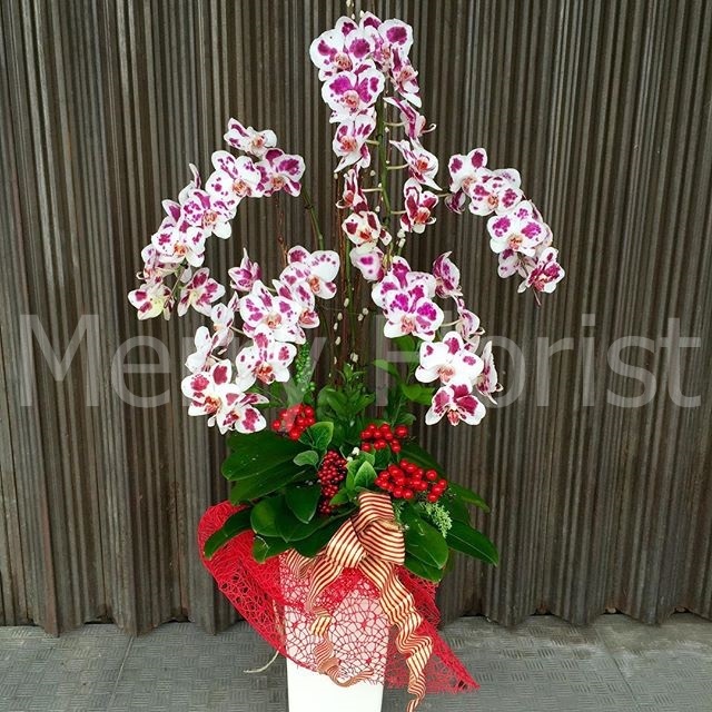 Standing Flowers