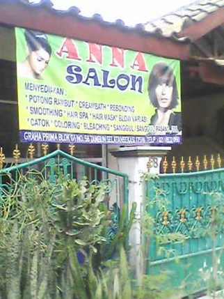 315. anna salon