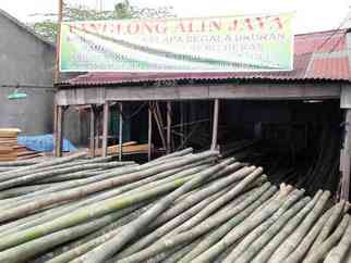 Panglong Alin Jaya