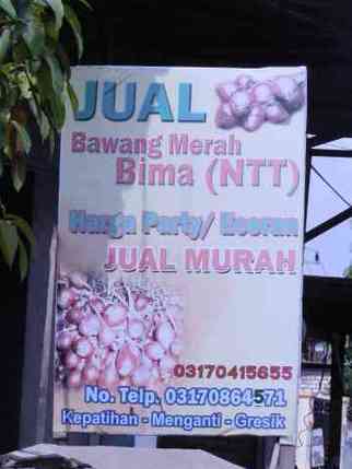 Bawang Merah Bima