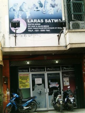 Laras Satwa