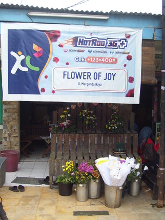 Flowers Of Joy