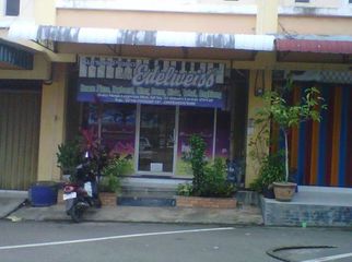 Edelweis