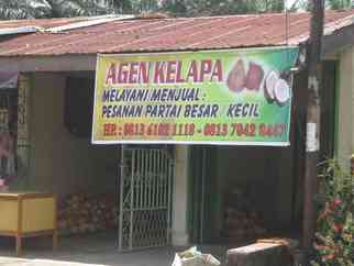 Agen Kelapa