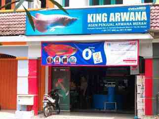King Arwana
