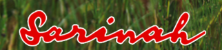 Sarinah Indonesia Department Store