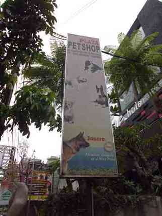 Plaza Pet Shop