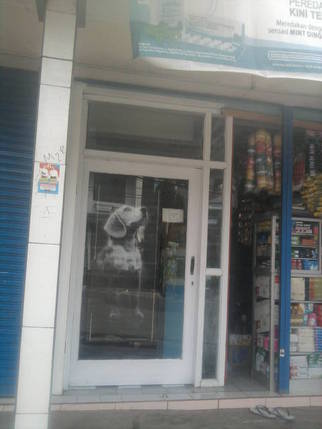 Mega Pet Shop