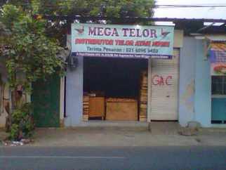 326.MEGA TELUR