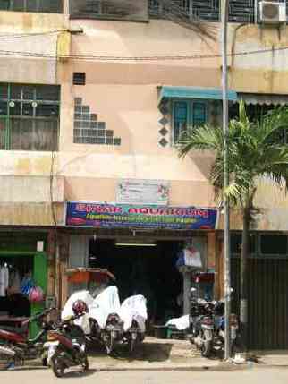 Sinar Aquarium