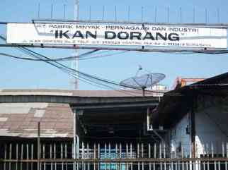 Pabrik Minyak - Perniagaan dan Industri Ikan Dorang. PT