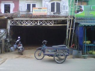 Diamond Tralis