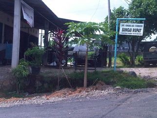 Sungai Rupat