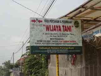 Wijaya Tani